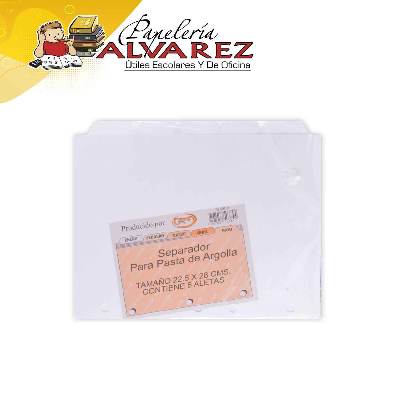 Imagen de SEPARADOR 105 CARTULINA BLANCO X 5