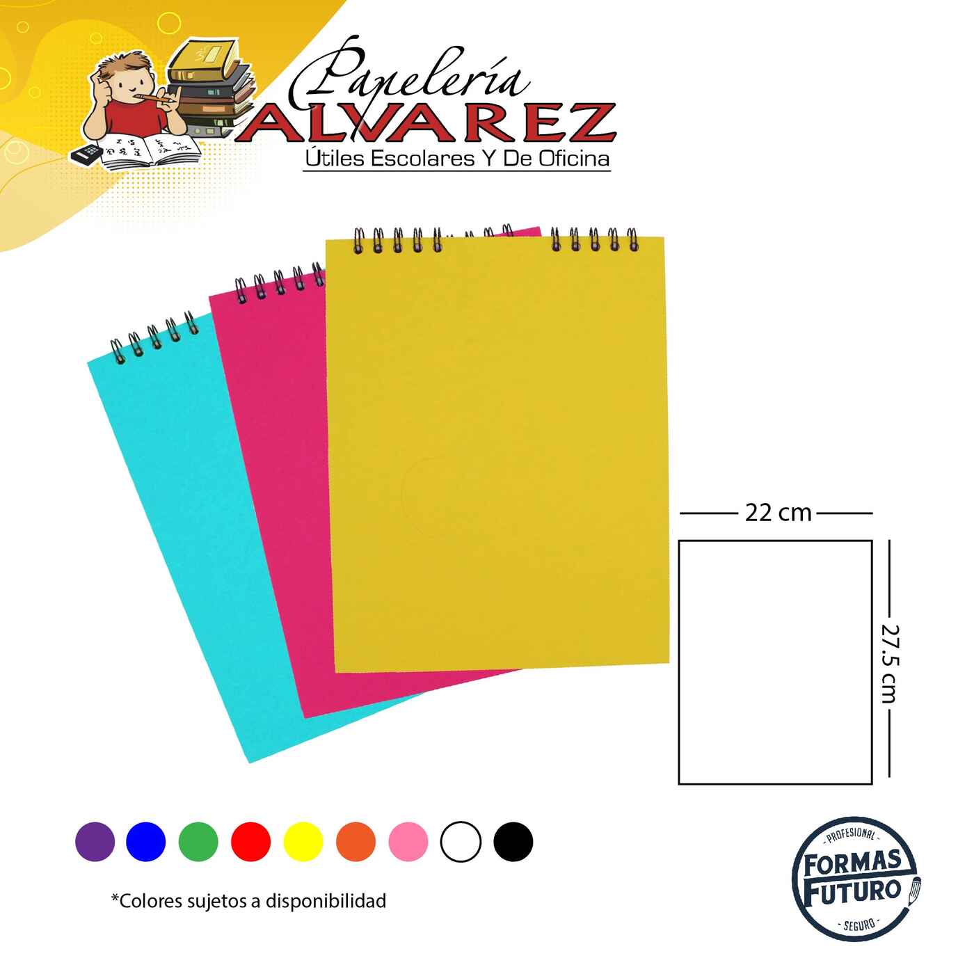 Imagen de BITACORA FUTURO CARTA COLOR X 50 HJ