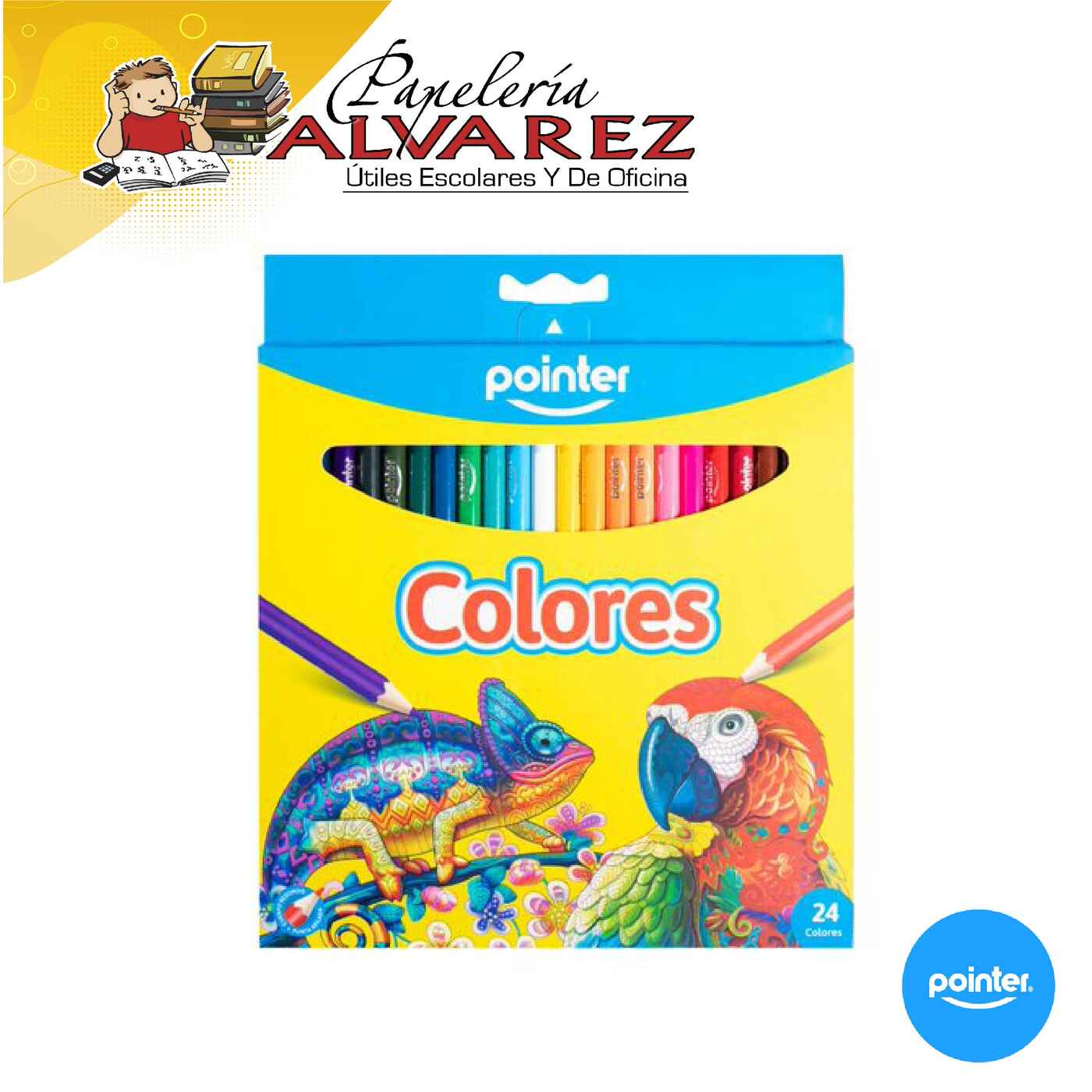 Imagen de COLOR POINTER X 24 3MM LARGO