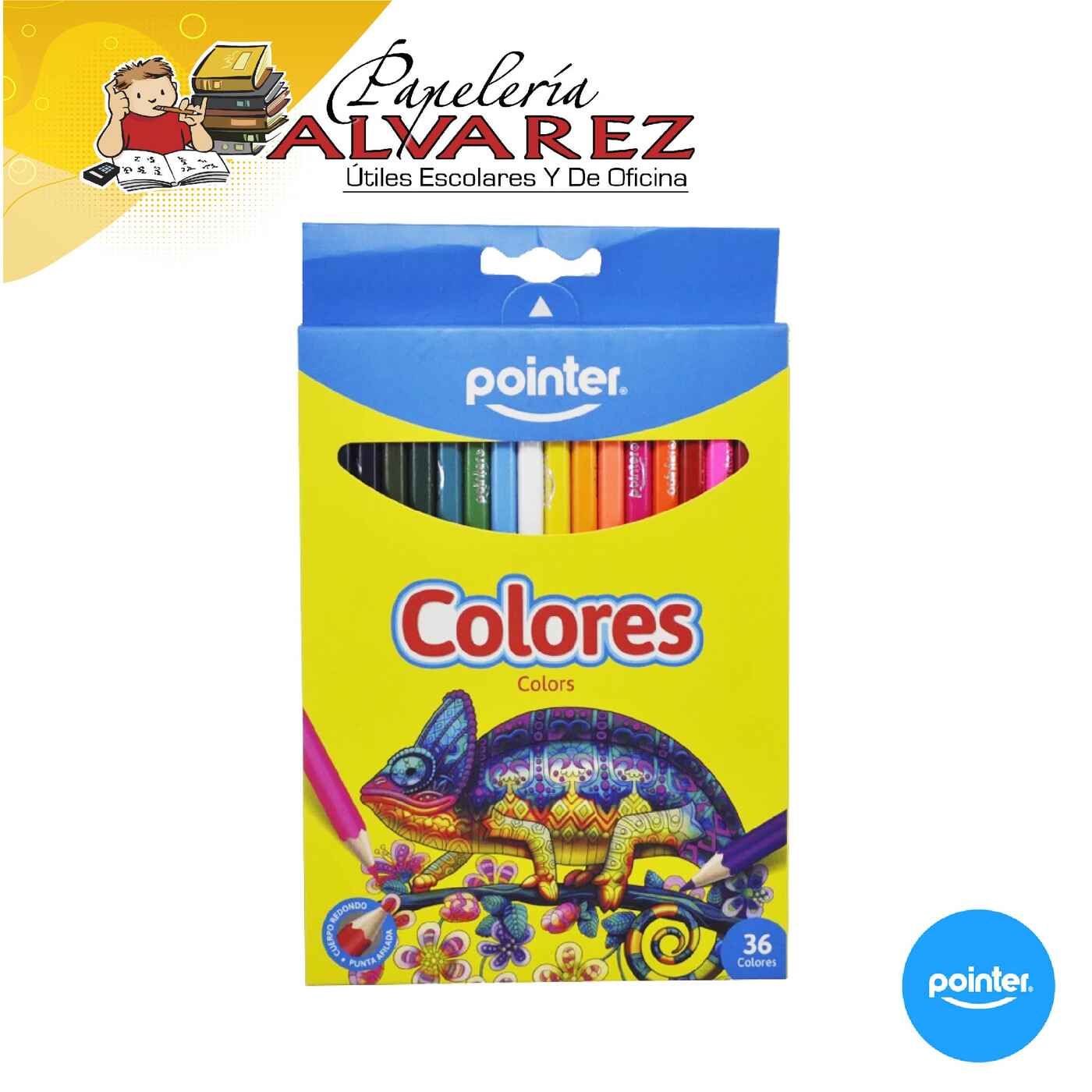 Imagen de COLOR POINTER X 36 3MM LARGO